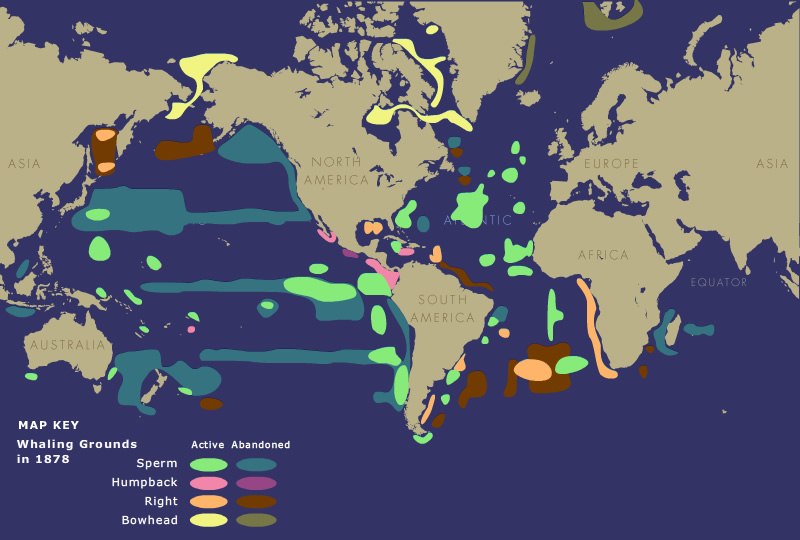 map of 1878 whaling grounds